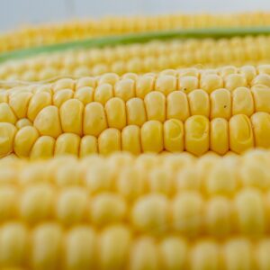 corn, corn on the cob, corn kernels, yellow, grill, vegetables, flora, sweet corn, nourishment, meal, close up, structure, texture, corn, corn, corn, corn, corn