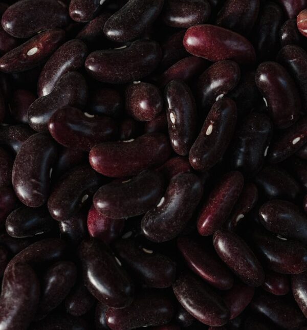 Detailed overhead shot of organic black beans, perfect for healthy recipes.